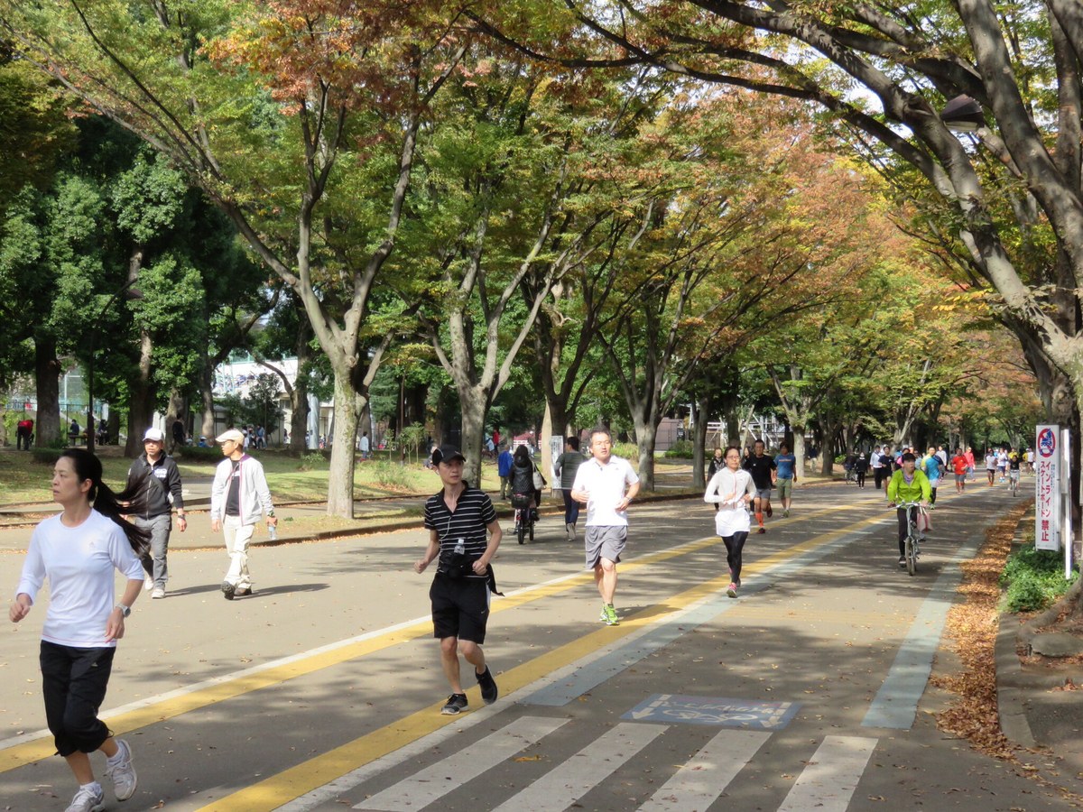 駒沢オリンピック公園の木の下の道で、走ったり歩いたりしている人たち