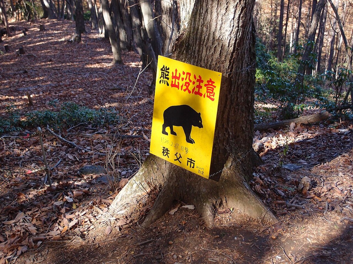 埼玉県秩父市の山道にある「熊出没注意」の看板
